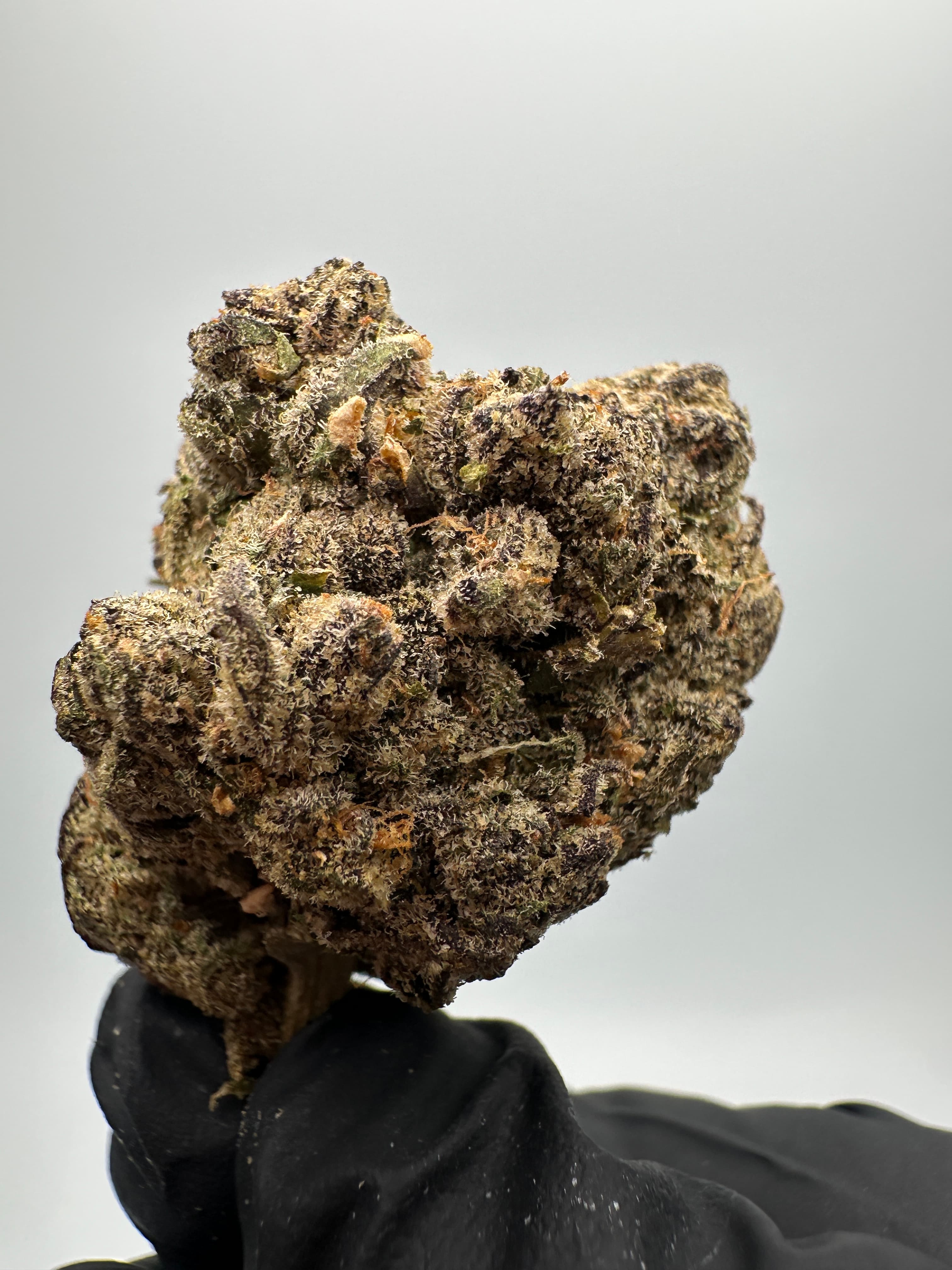 Big Sioux Bud Buena Mierda