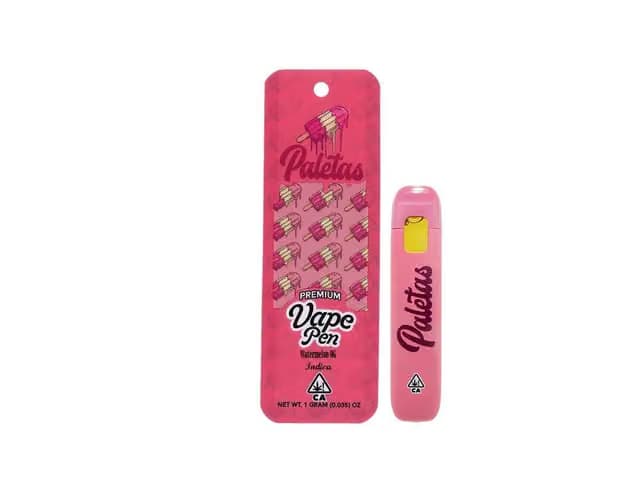 Paletas THC ALL IN ONE - WATERMELON SORBET - 1G