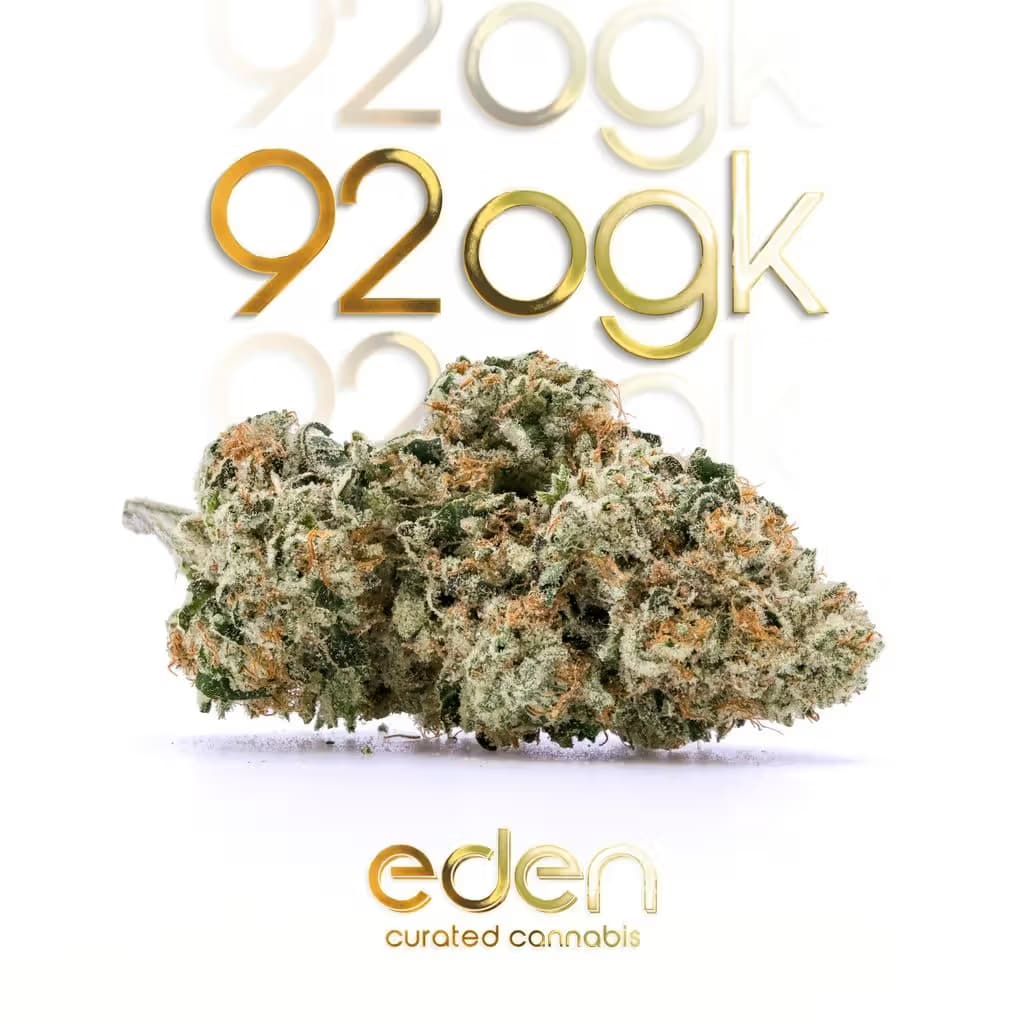 Eden 92 OGK SchMediums