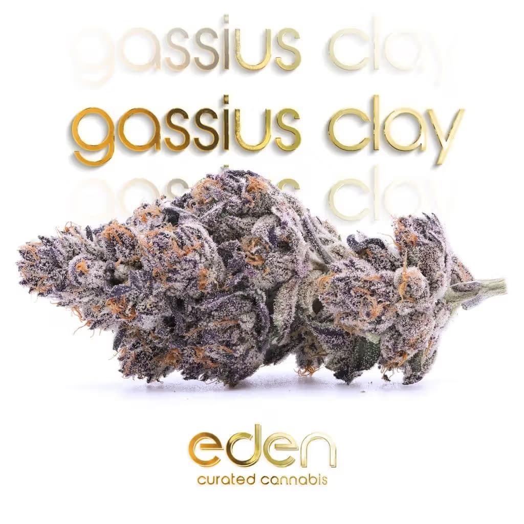 Eden Gassius Clay SchMediums