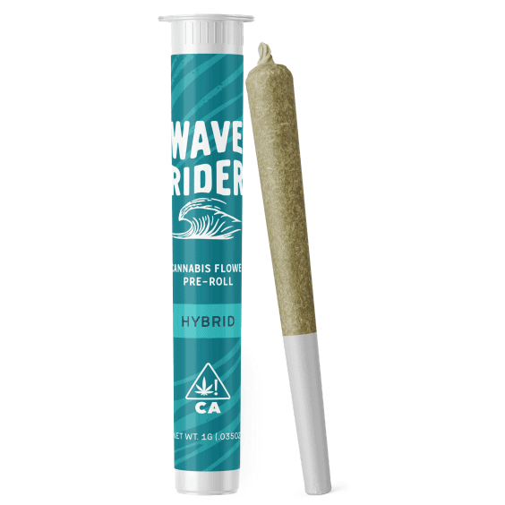 Wave Rider Flower