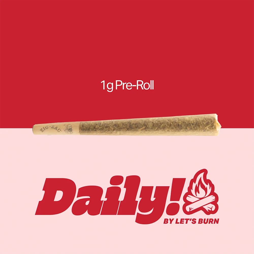 Daily! Daily! Campfire 1g Pre-roll 0094