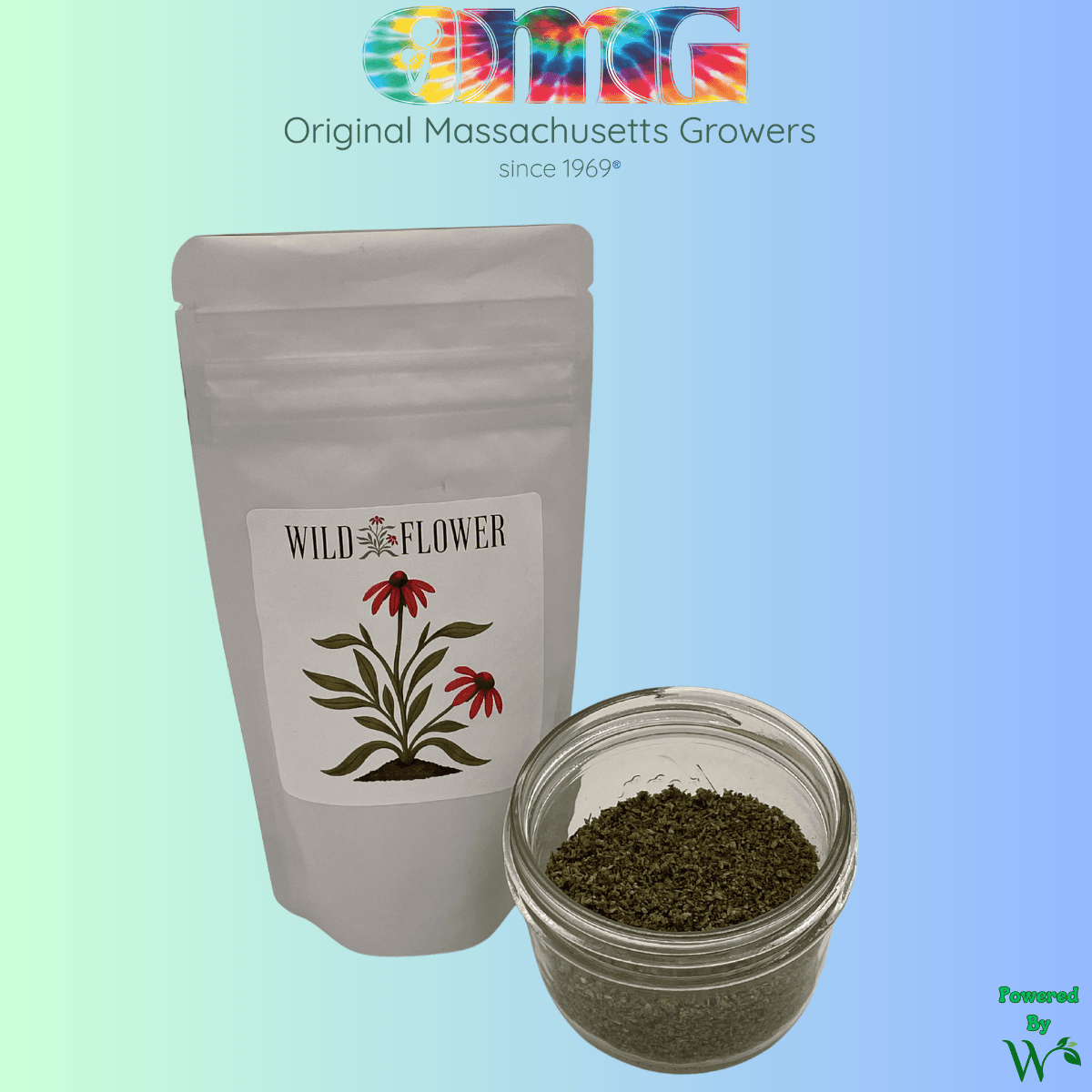 Wildflower Garlic Freeze | Preground | 14g