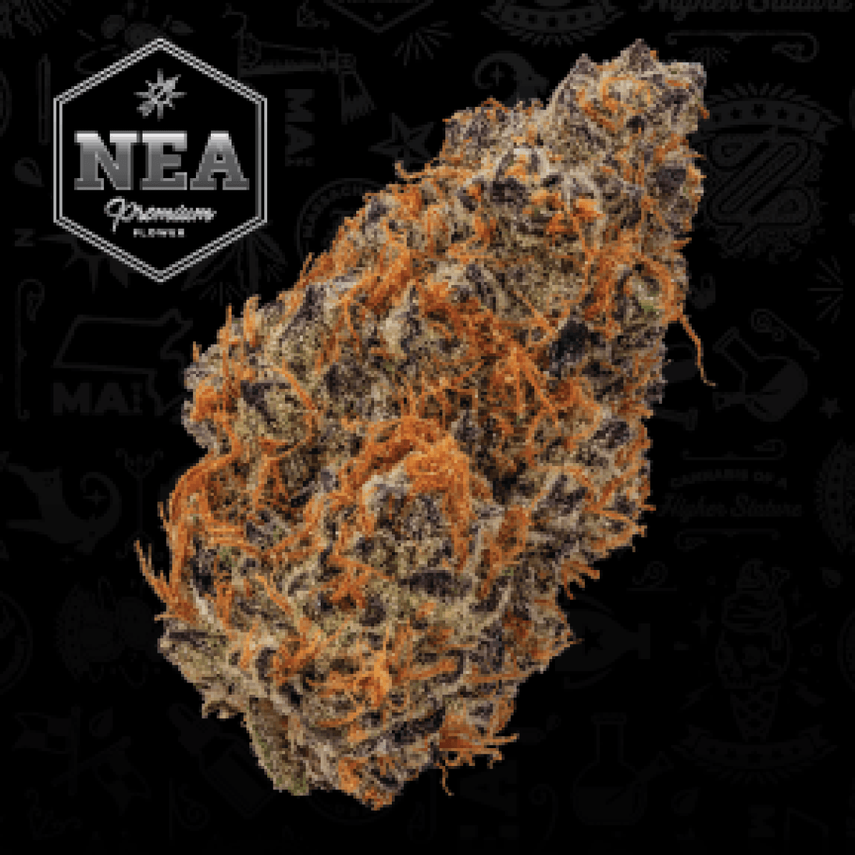 NEA Premium