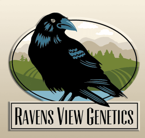 Ravens View Genetics