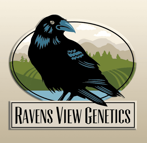 Ravens View Genetics