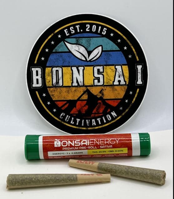 Bonsai