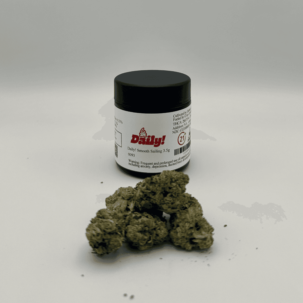 Daily! Smooth Sailing (S) Flower C0200000093