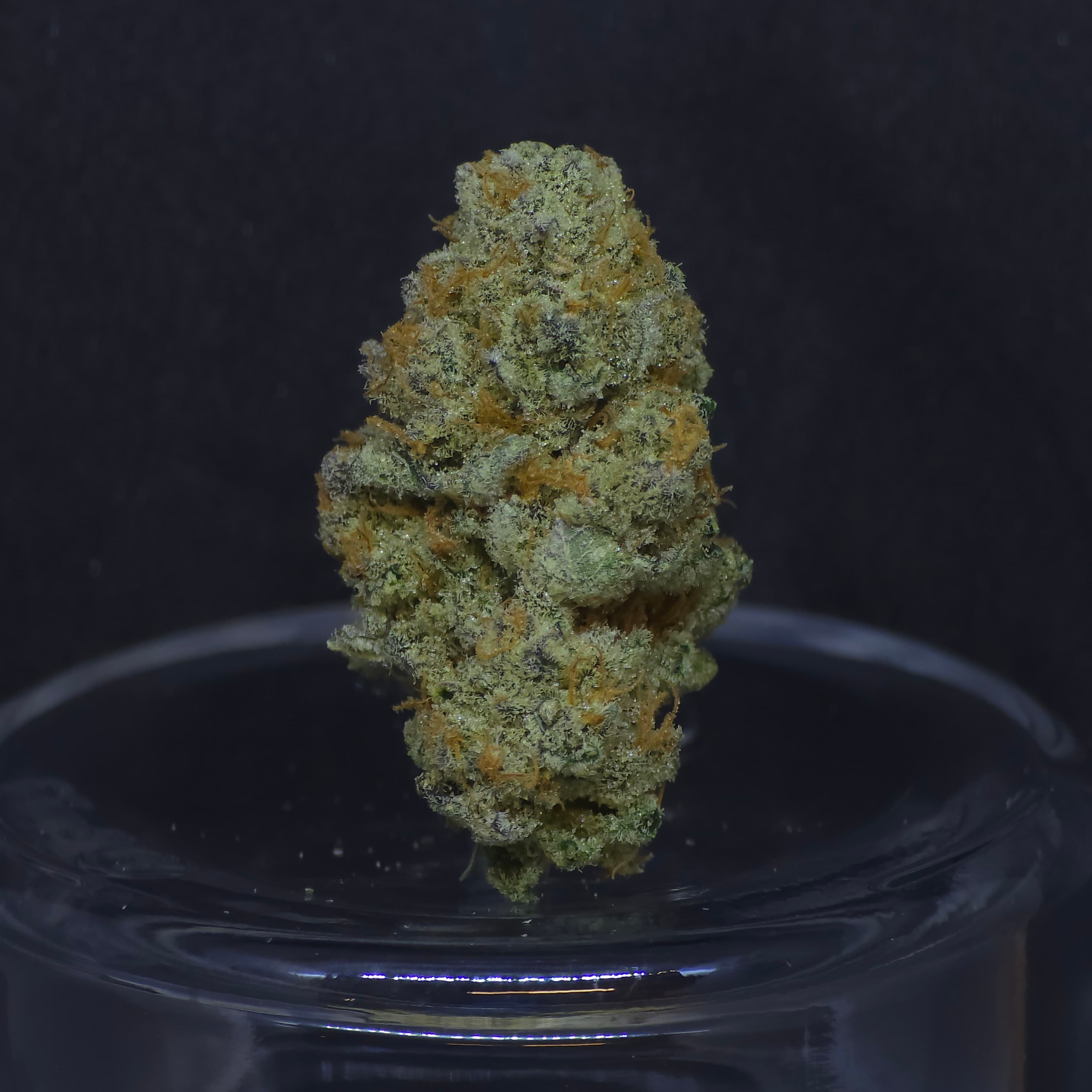 BAM Alaska Daily Deal - Dirty Love Sugar Flower - BAM Alaska