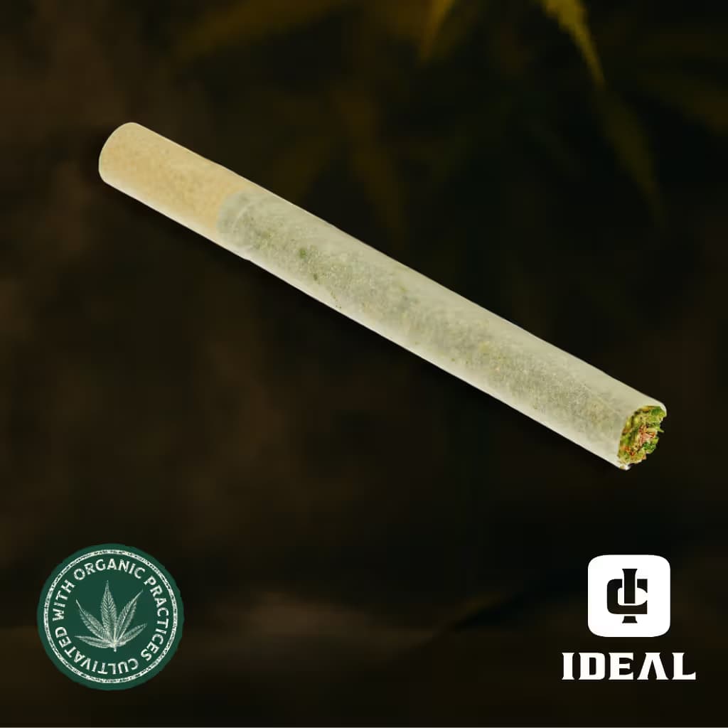 Ideal Cannabis