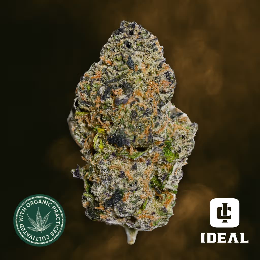 Ideal Cannabis Grape Gas (THC 23.6%)