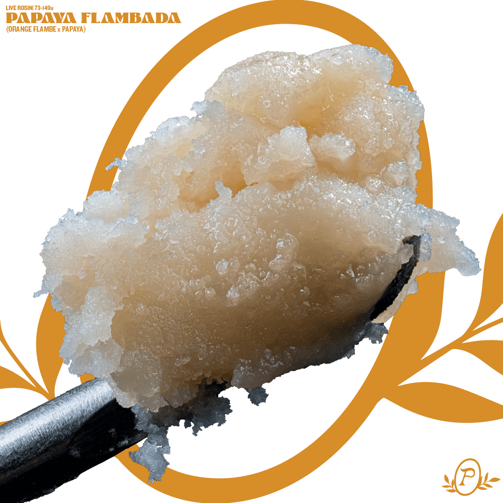 Peachy Hash & Co. Papaya Flambada #2 Rosin
