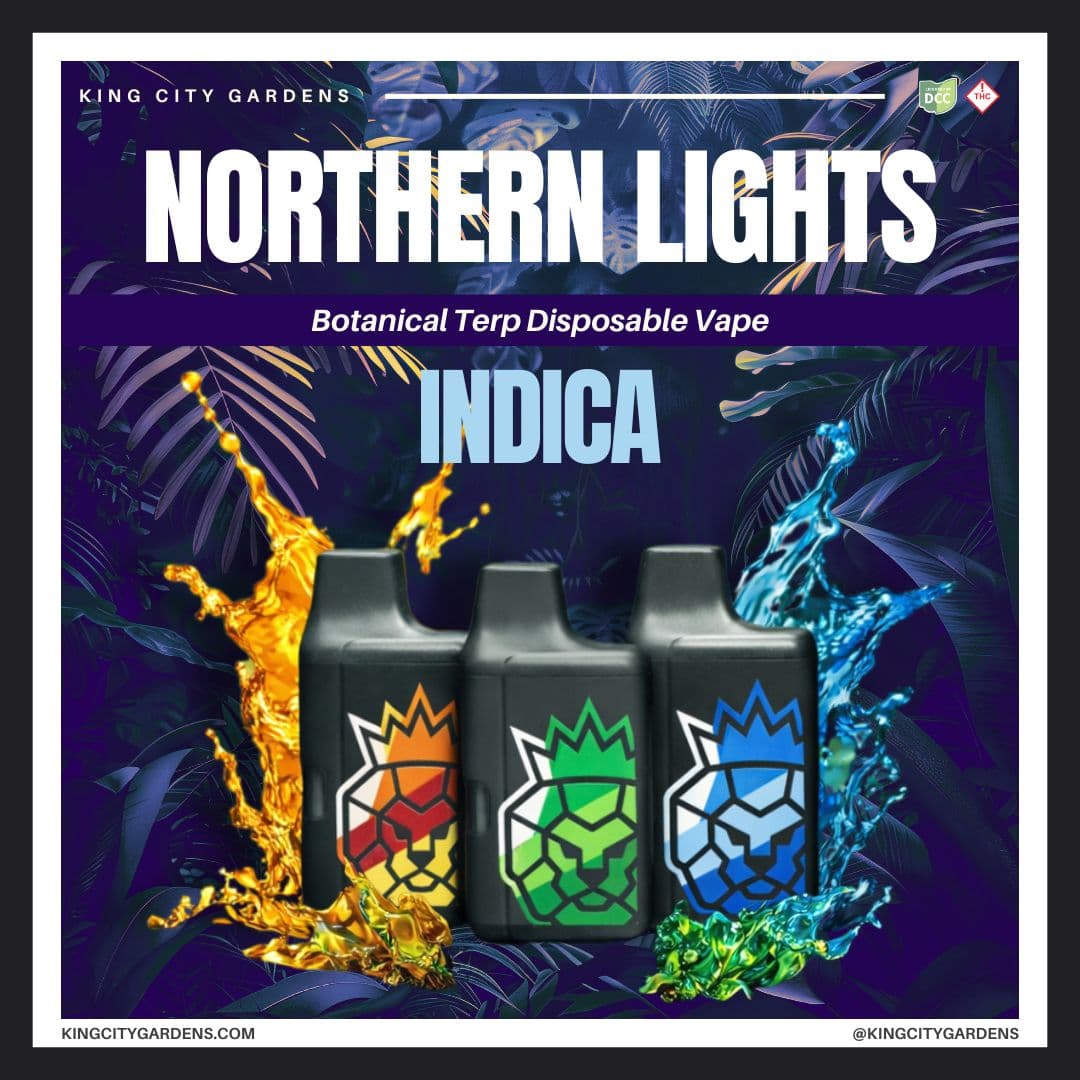 KCG Northern Lights Disposable