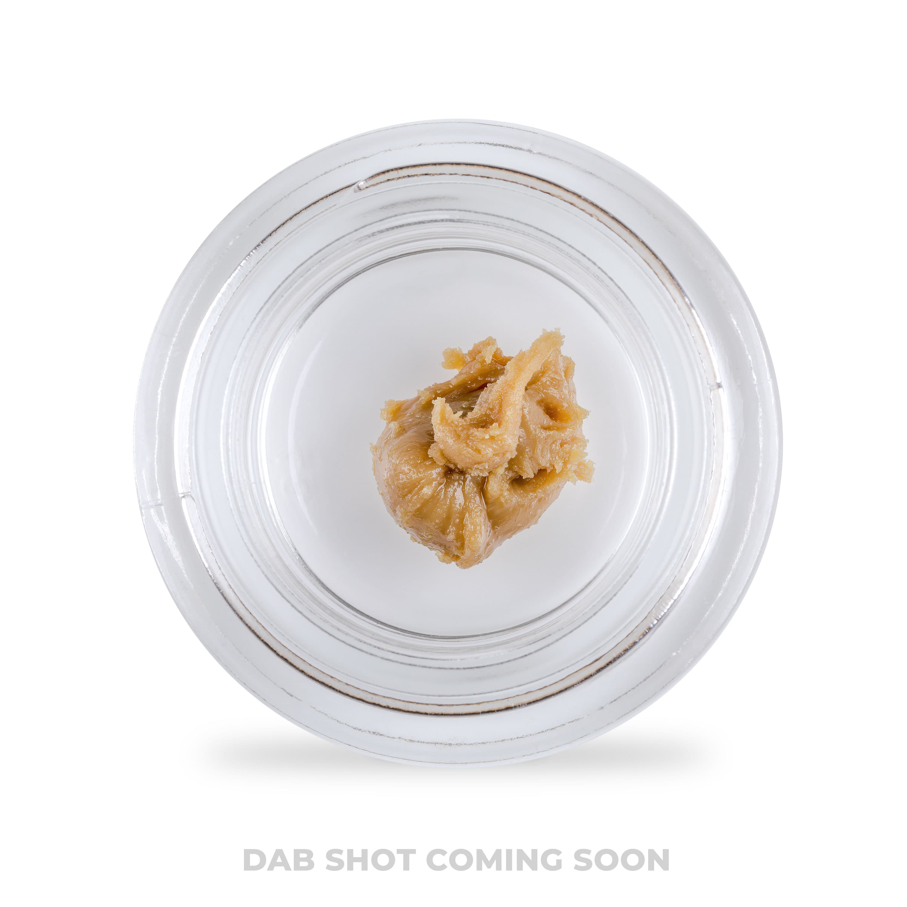 FORTE White Sands #10 Live Rosin (SH)