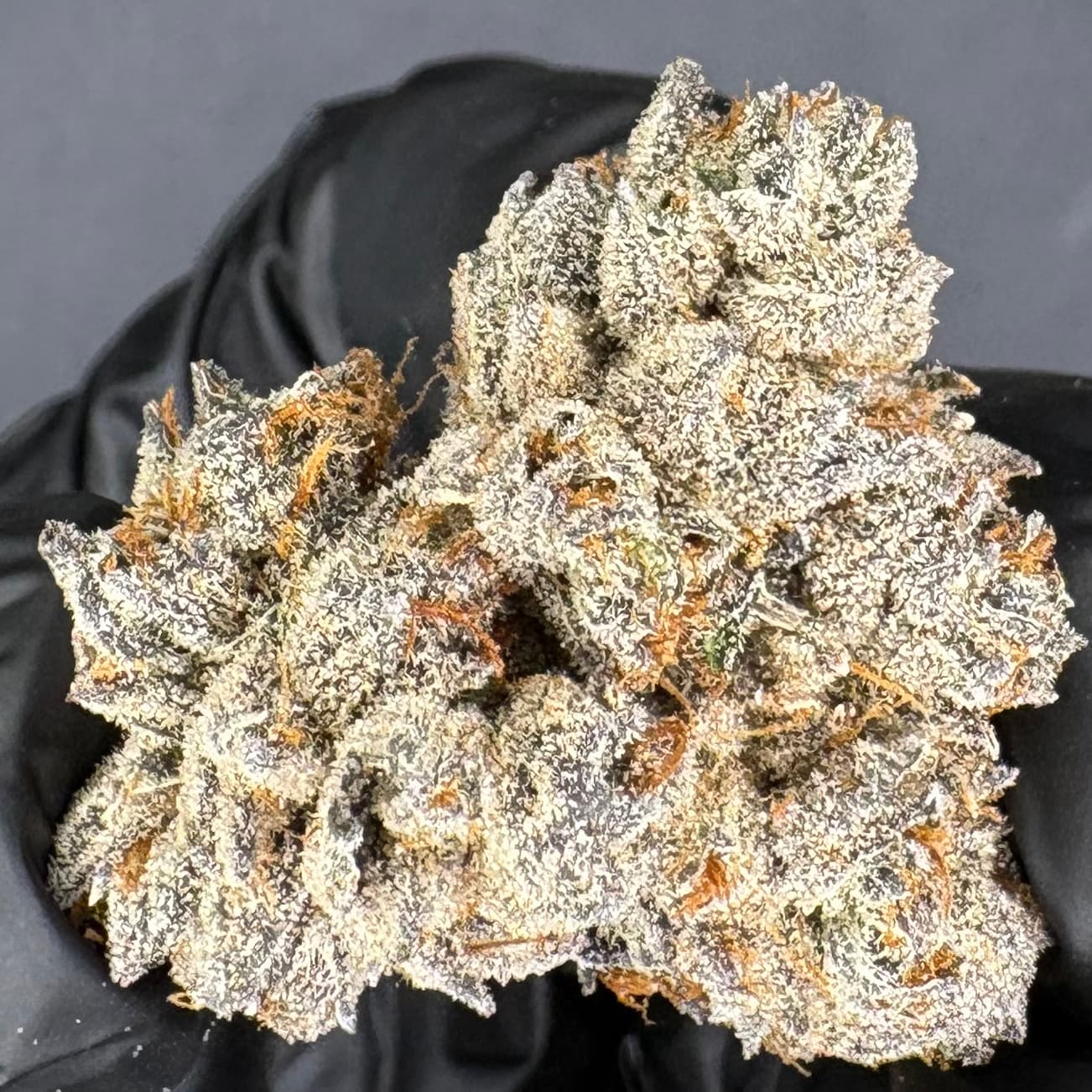 Resin Rancher's (REC) Honey Buns