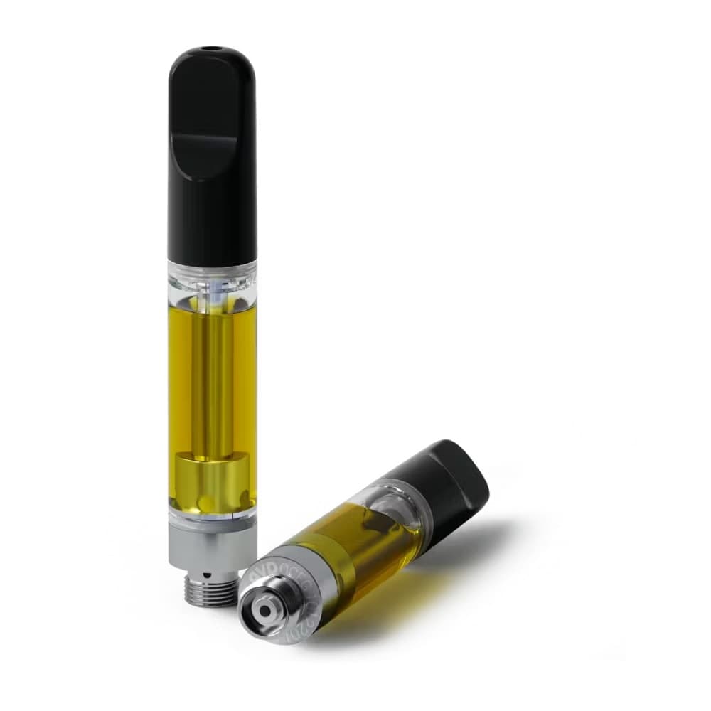 E29 Labs