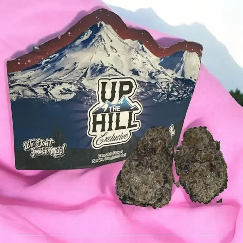 Up The Hill BAZZ PRO