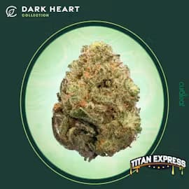 Dark Heart