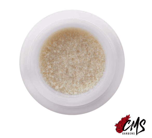 CMS Gardens White Truffle Bubble Hash