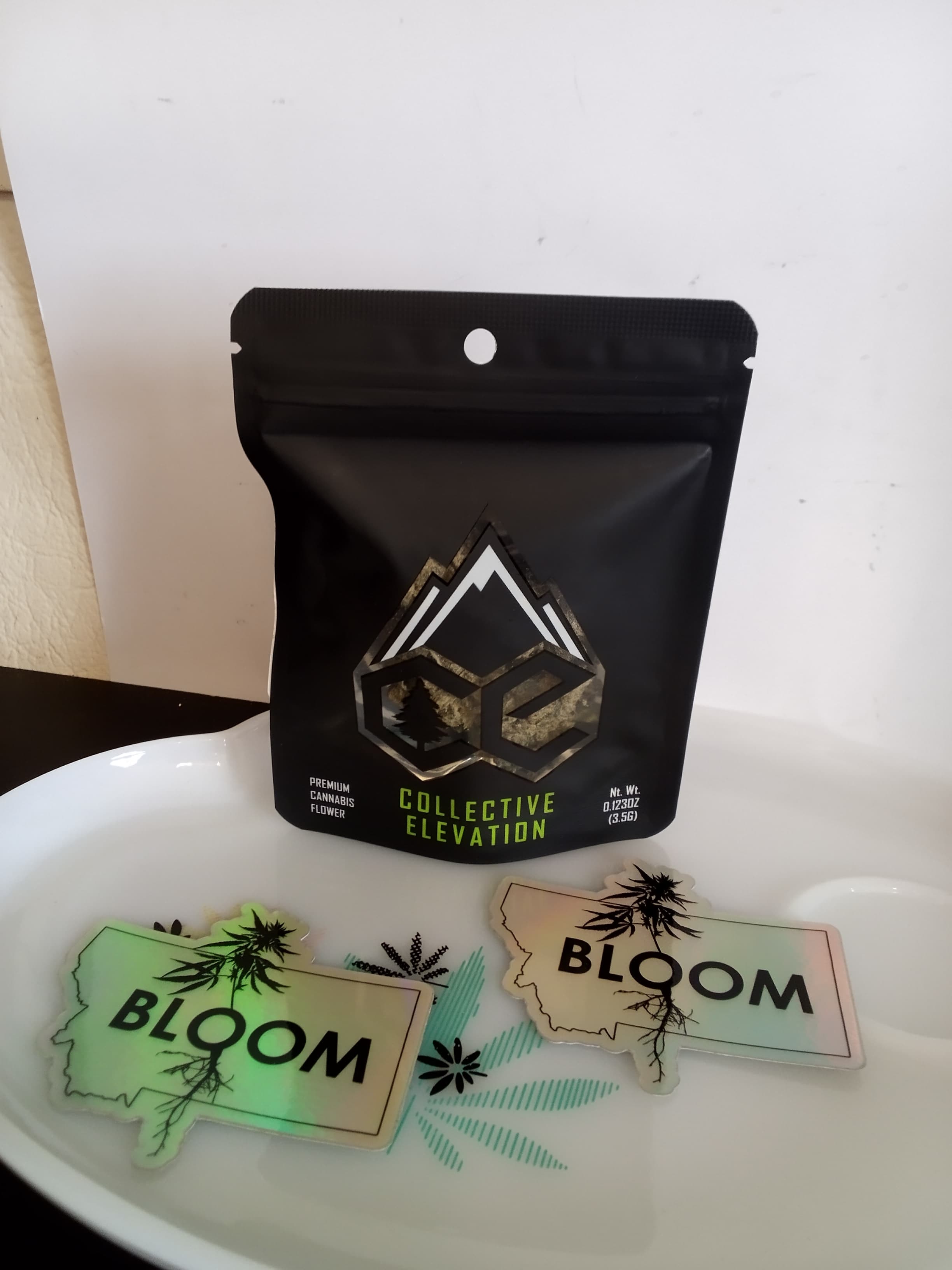 BLOOM