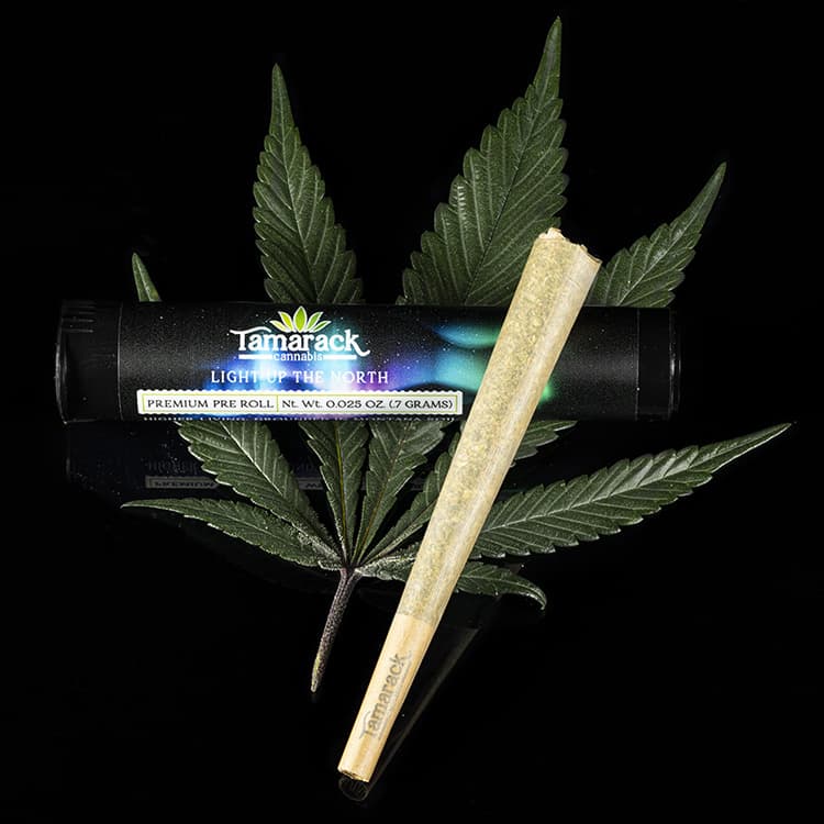 Tamarack 1pk - Khalifa Mints - Pre-Roll