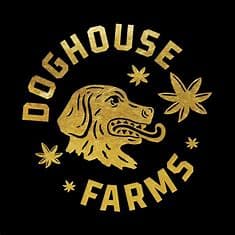 Doghouse Pack Acai Gelato (5 x 1g)