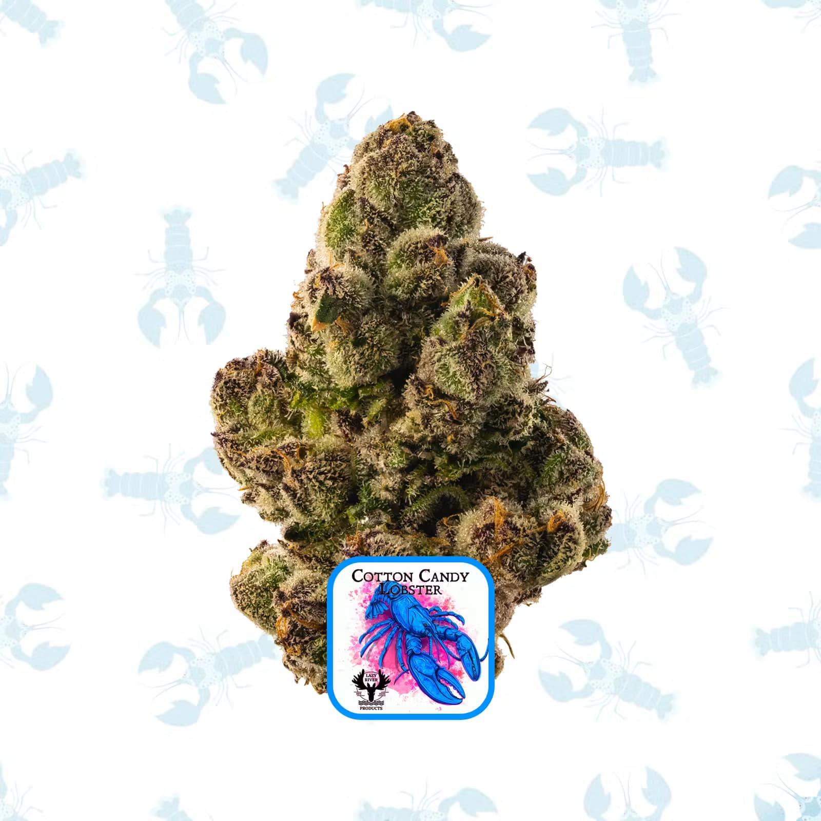 Lazy River Products Cotton Candy Lobster | Popcorn Buds | 14g