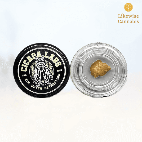 Cicada Labs 1g Smarteez Live Rosin Batter Cicada Labs
