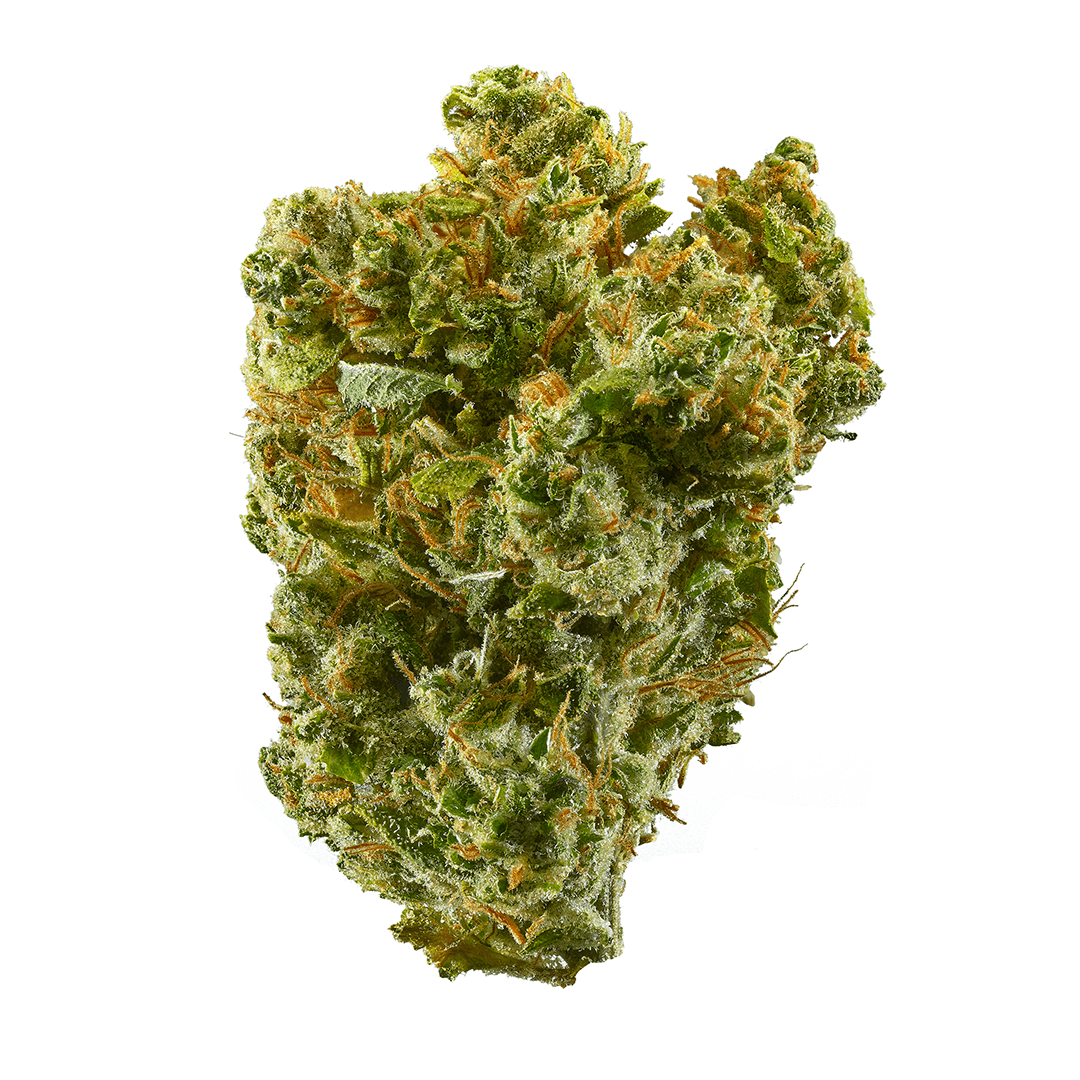 The Healing Canna