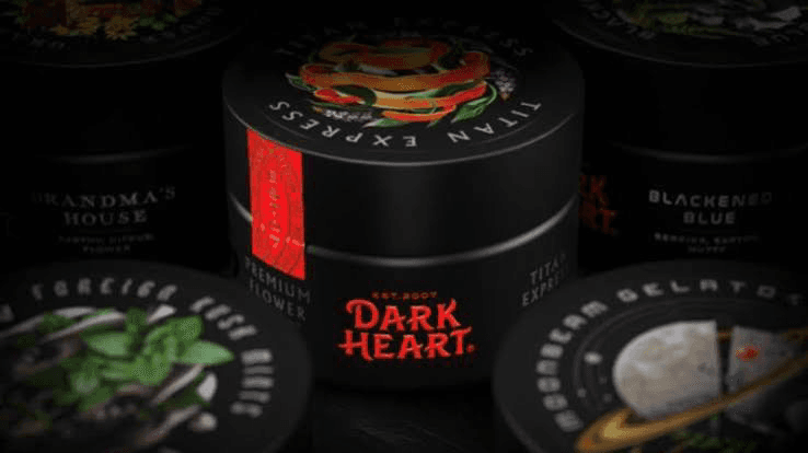 Dark Heart