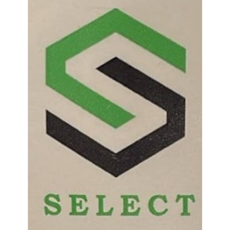 Select (DOHC) (SELECT) Cartridge 1g Lemon Cherry Gelato (I)