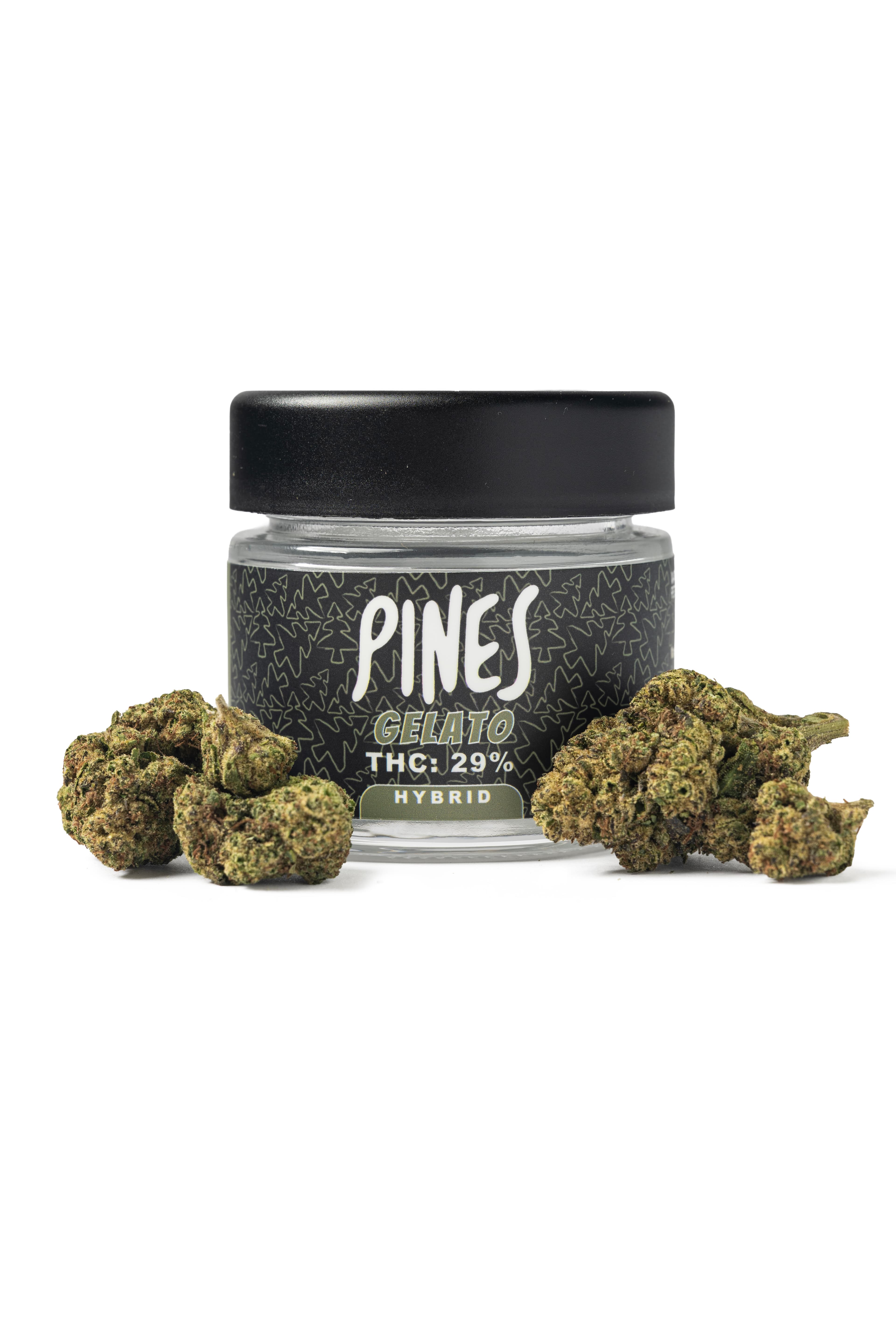 Pines Gelato | 3.5g Flower (Hybrid)
