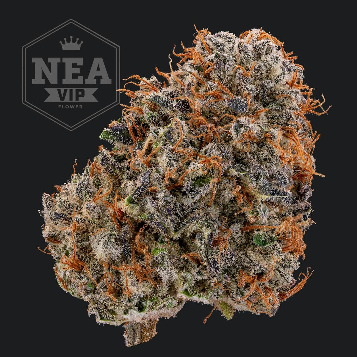 NEA Premium