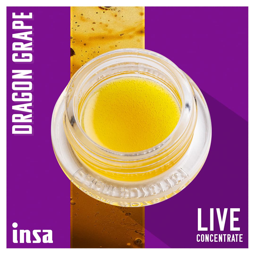 Insa Live Budder - Dragon Grape