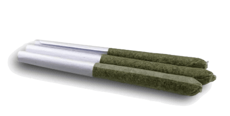 Western Cannabis Glazed Scout Cookies 3 x 0.5g Pre-Rolls