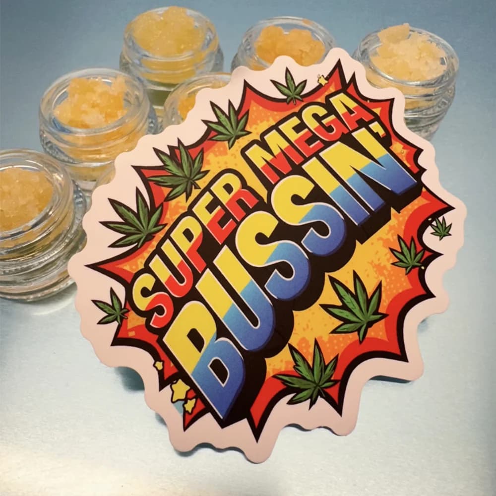 Super Mega Bussin
