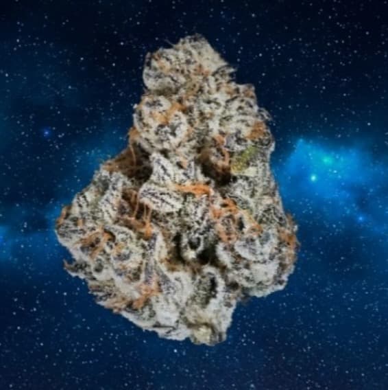 Zero Gravity