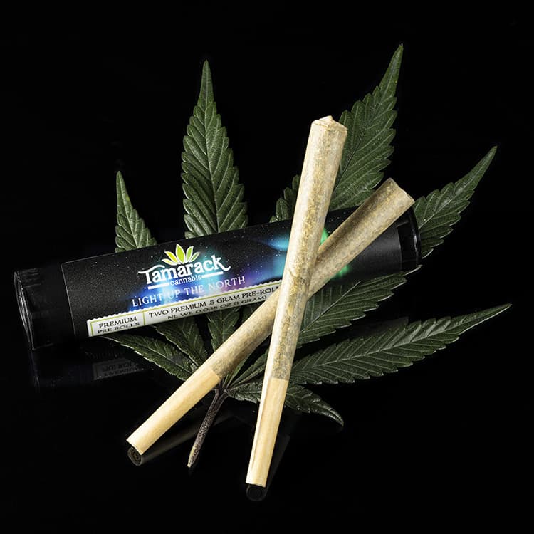 Tamarack Infused Pre-Roll - Kush Mint
