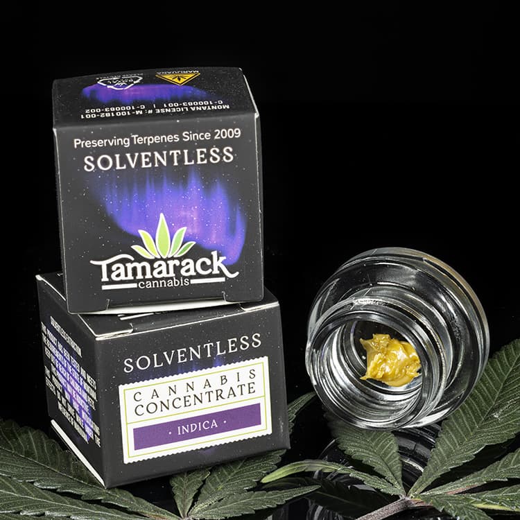 Tamarack