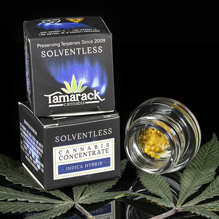Tamarack LIVE ROSIN - Honey Banana