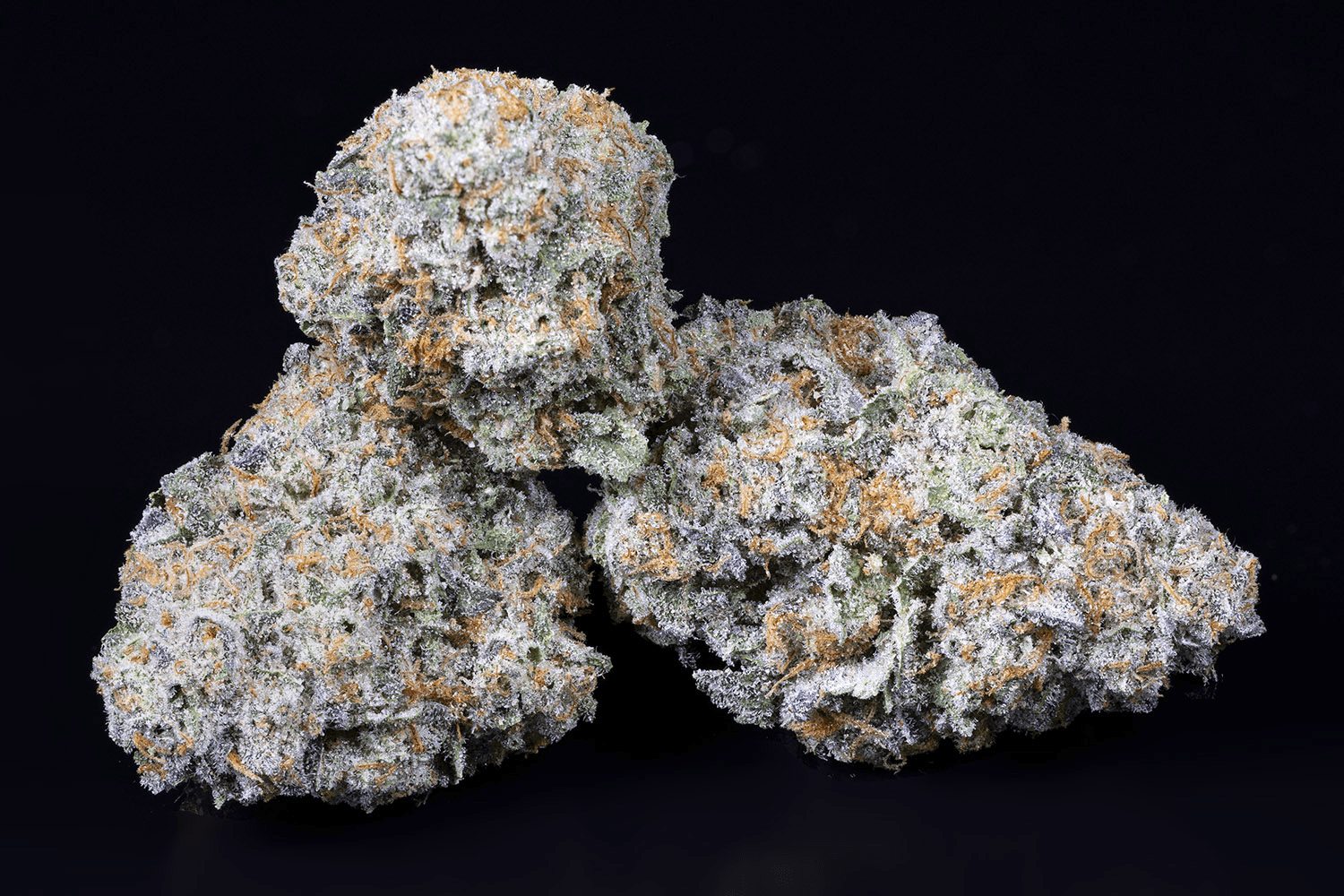 Tamarack Banana Zoap - Bulk Flower