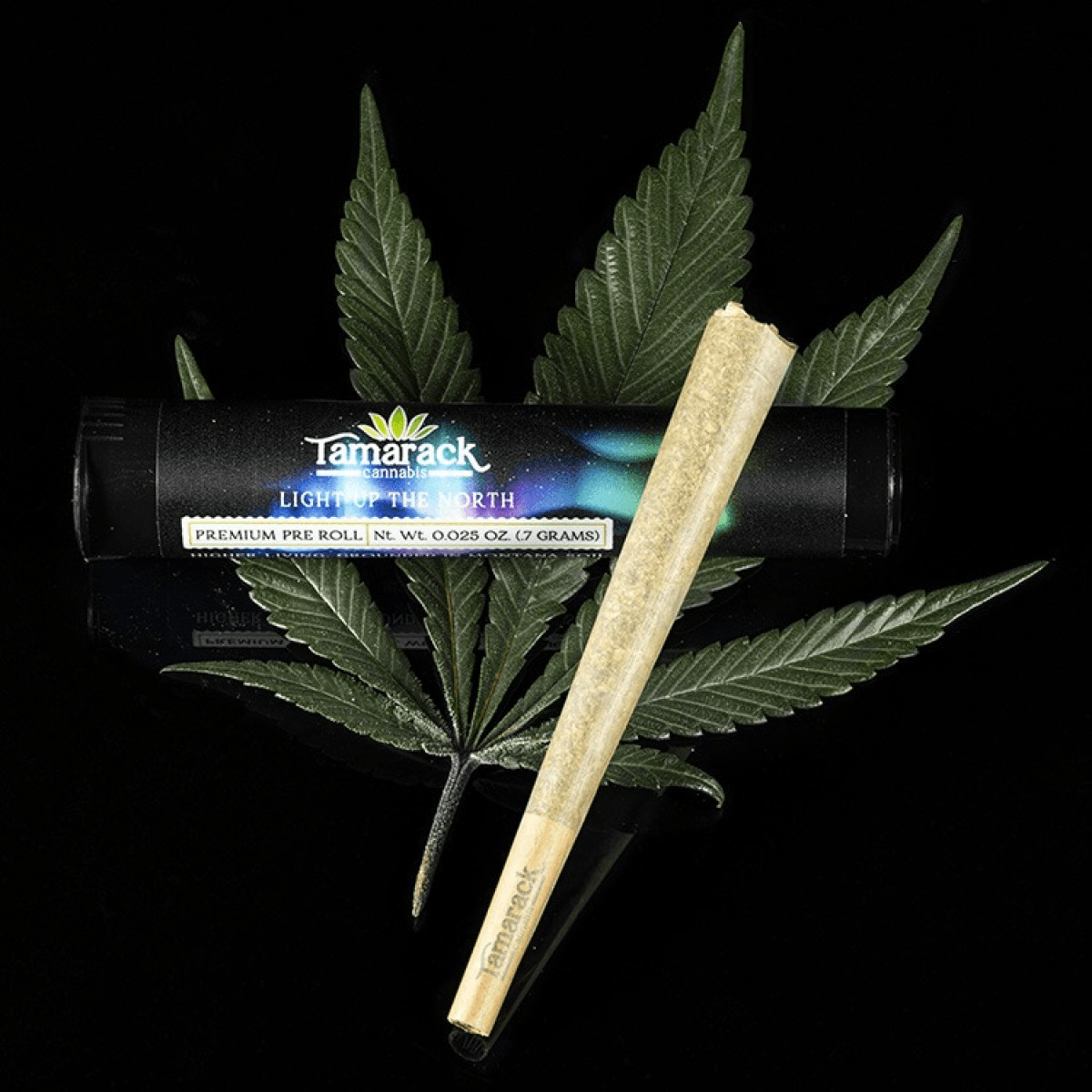 Tamarack 1pk - Sour Punch - Pre-Roll