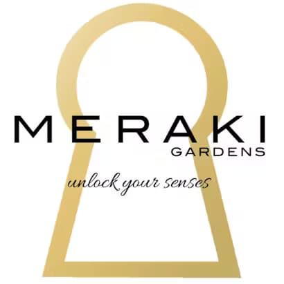 Meraki