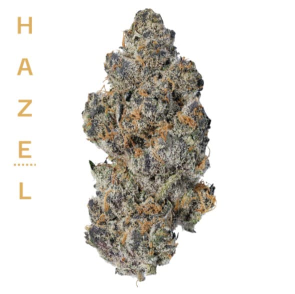 Hazel 3.5g Betty Ford | TAX INCLUDED