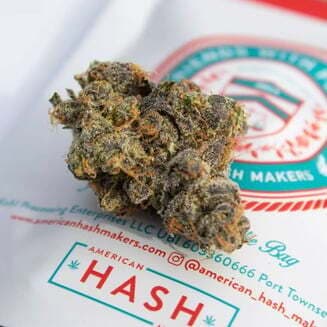 Friends with Flowers Diesel Cookies