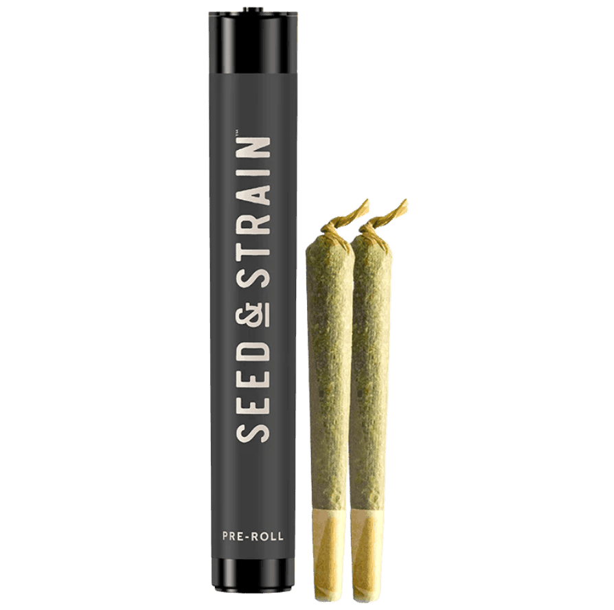 Seed & Strain SEED & STRAIN | CROTCH ROCKET PRE-ROLLS - 1G/2PK