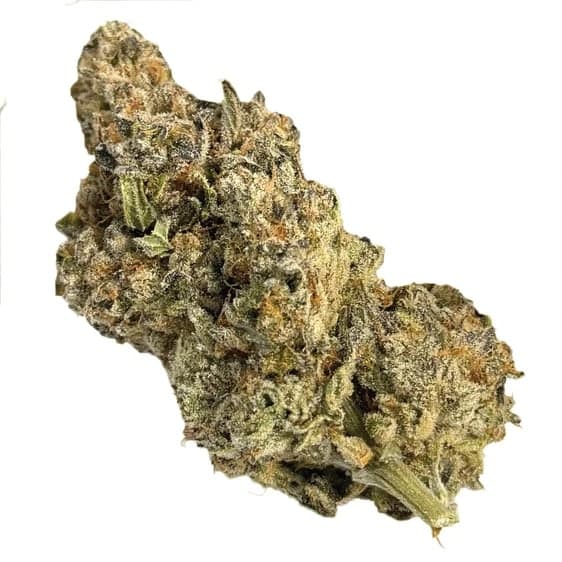 Valhalla Flwr Valhalla Flwr : Strawberry Mango LTO (7g)