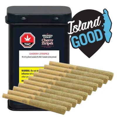 Broken Coast