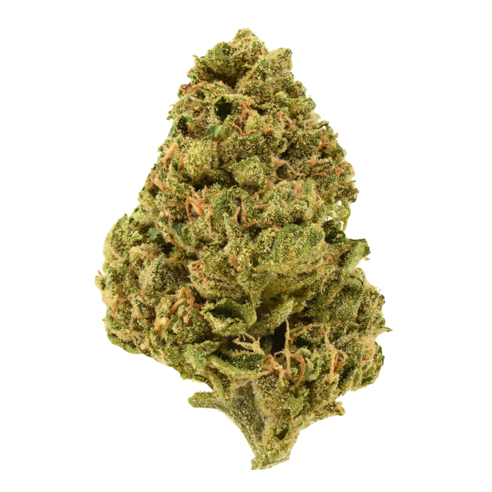 Soil, Sun, Love SSL Flower - Black Cherry