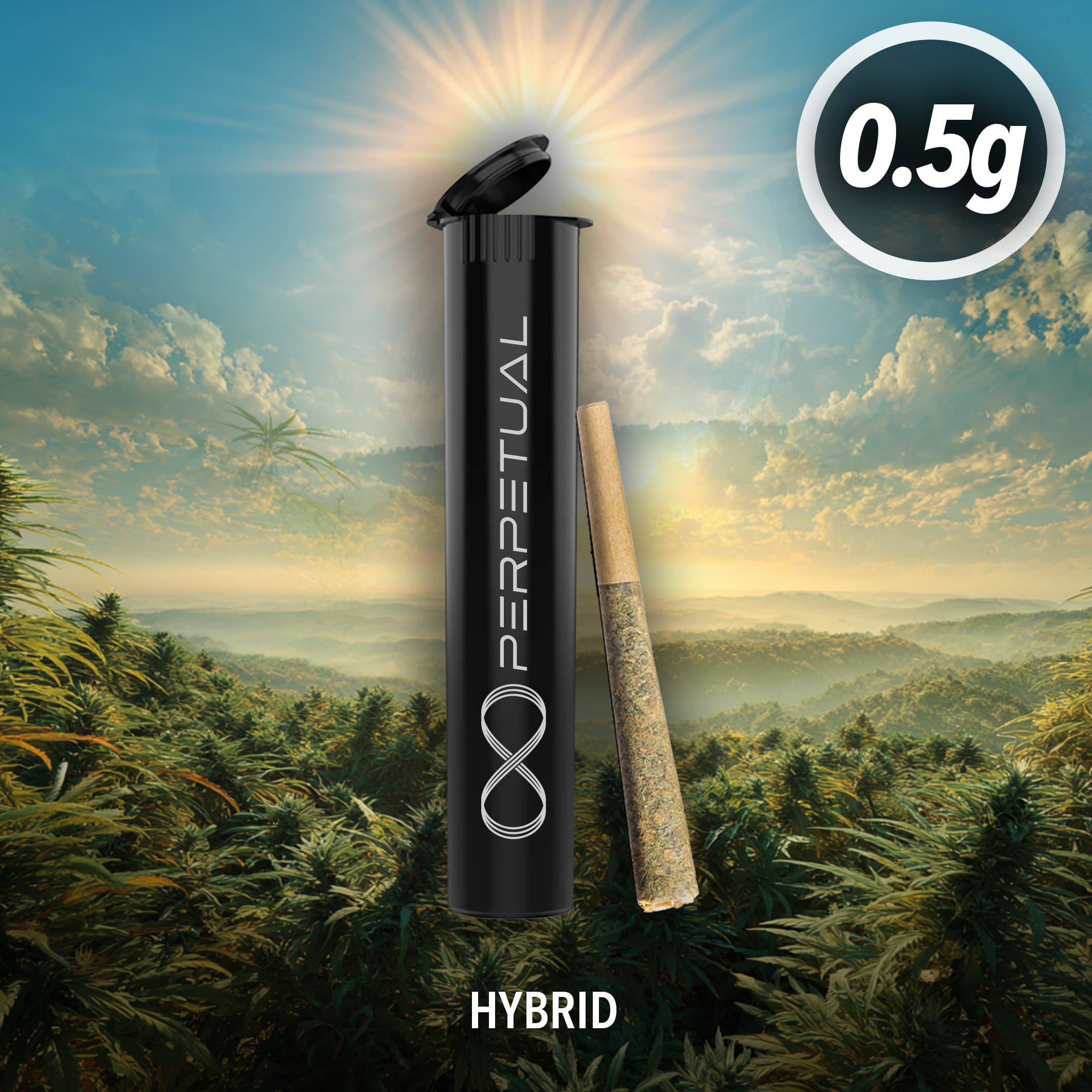 Perpetual Poppins | Single-Cone | 1g